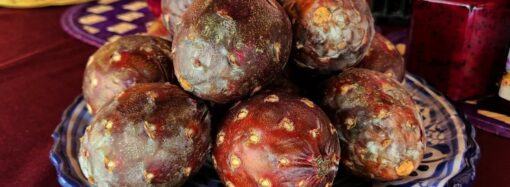 🌵✨ ¡Ya viene la tradicional Feria de la Pitaya y Pitahaya 2026!