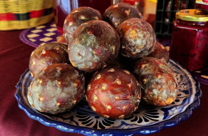 🌵✨ ¡Ya viene la tradicional Feria de la Pitaya y Pitahaya 2026!